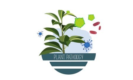 Plant Pathology