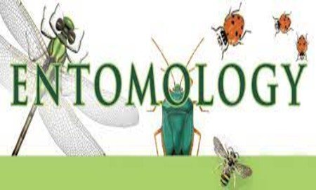 Entomology.